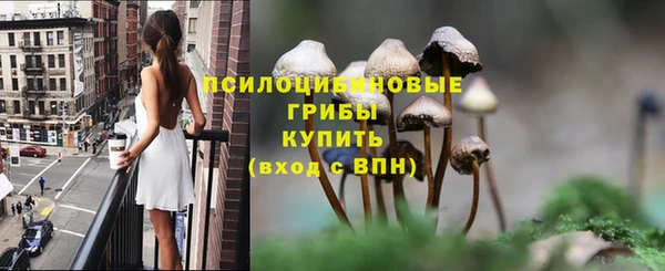 эйфоретик Михайлов