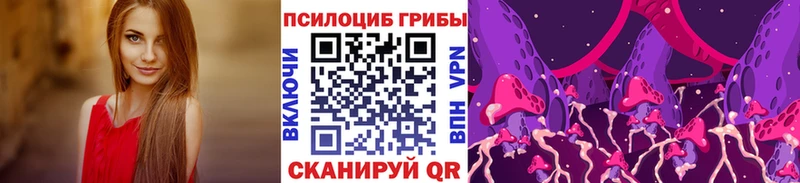 купить наркотики цена  Осташков  Псилоцибиновые грибы ЛСД 